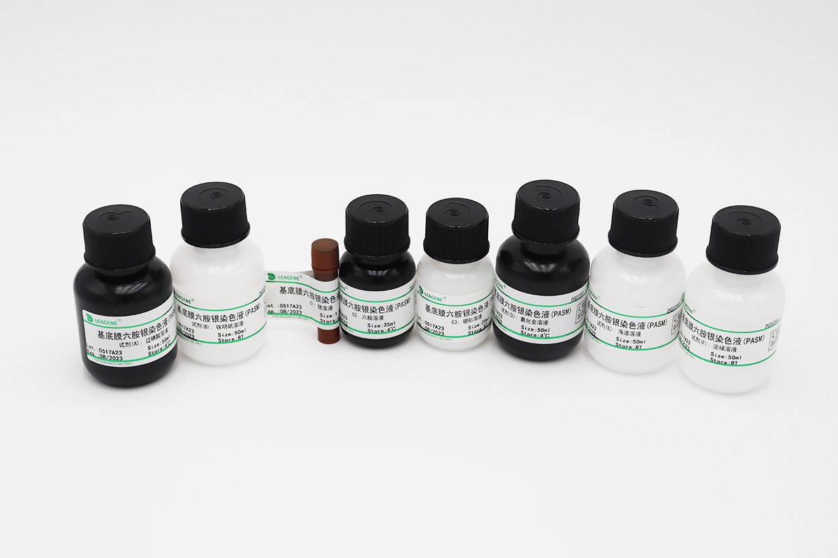 基底膜六胺银染色液(PASM)