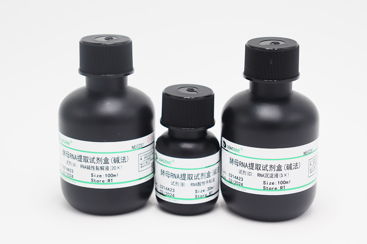 酵母RNA提取试剂盒(碱法)