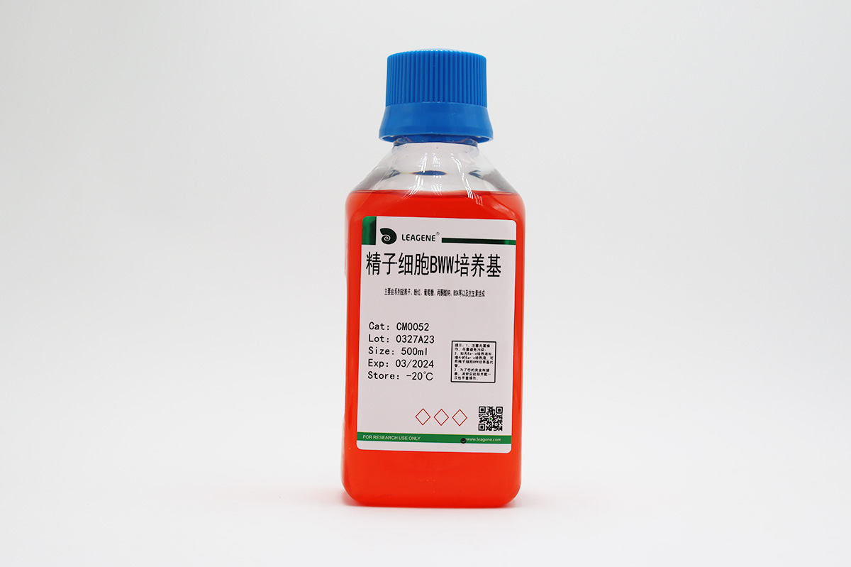 精子细胞BWW培养基