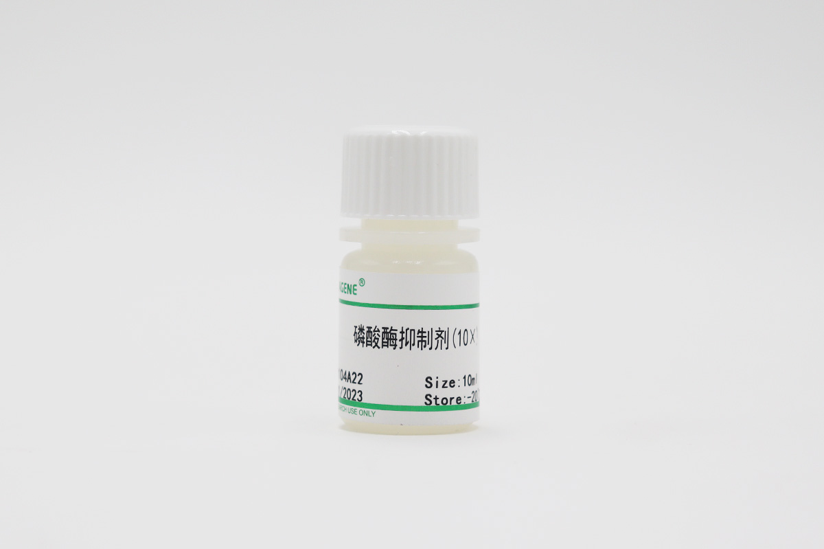 磷酸酶抑制剂(10×)
