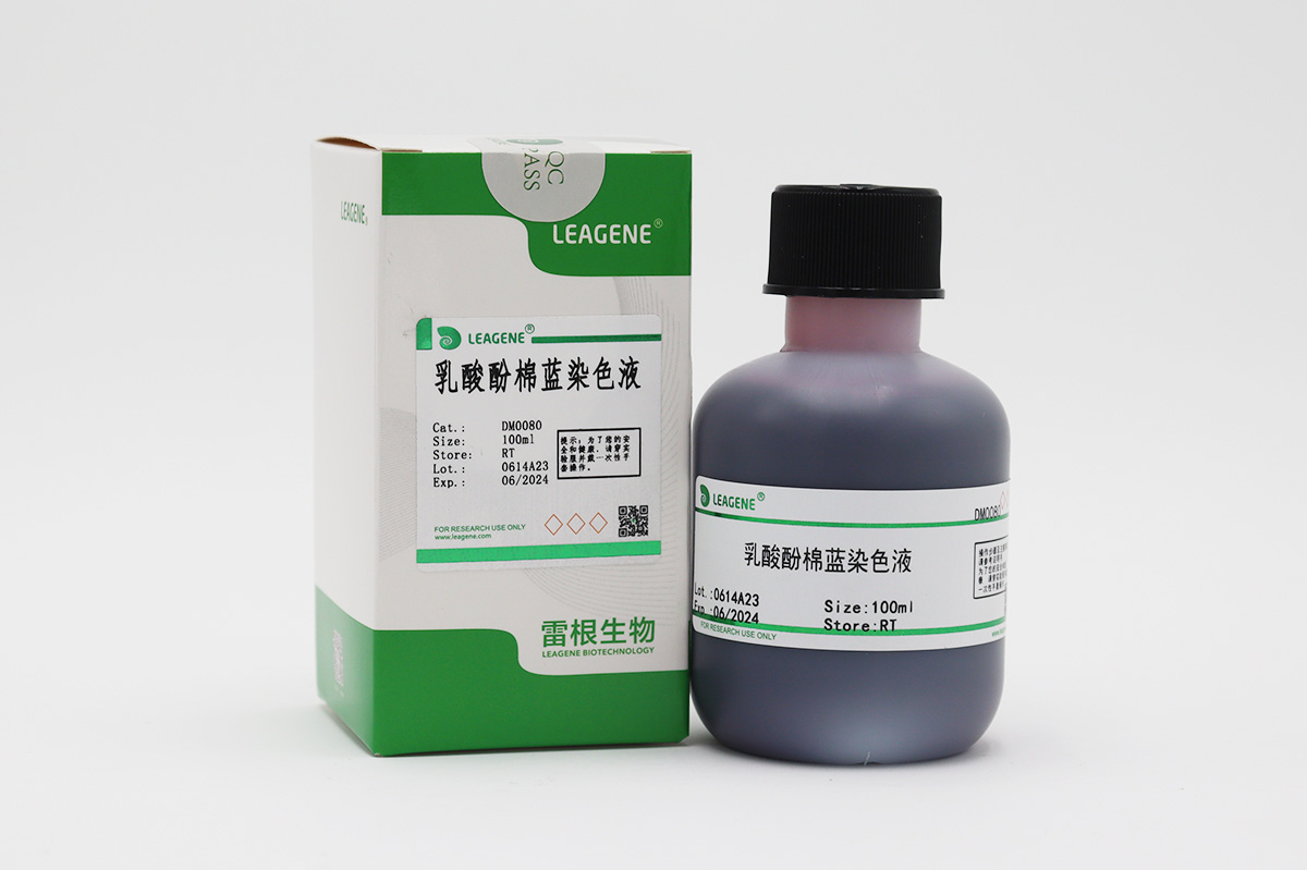 乳酸酚棉蓝染色液