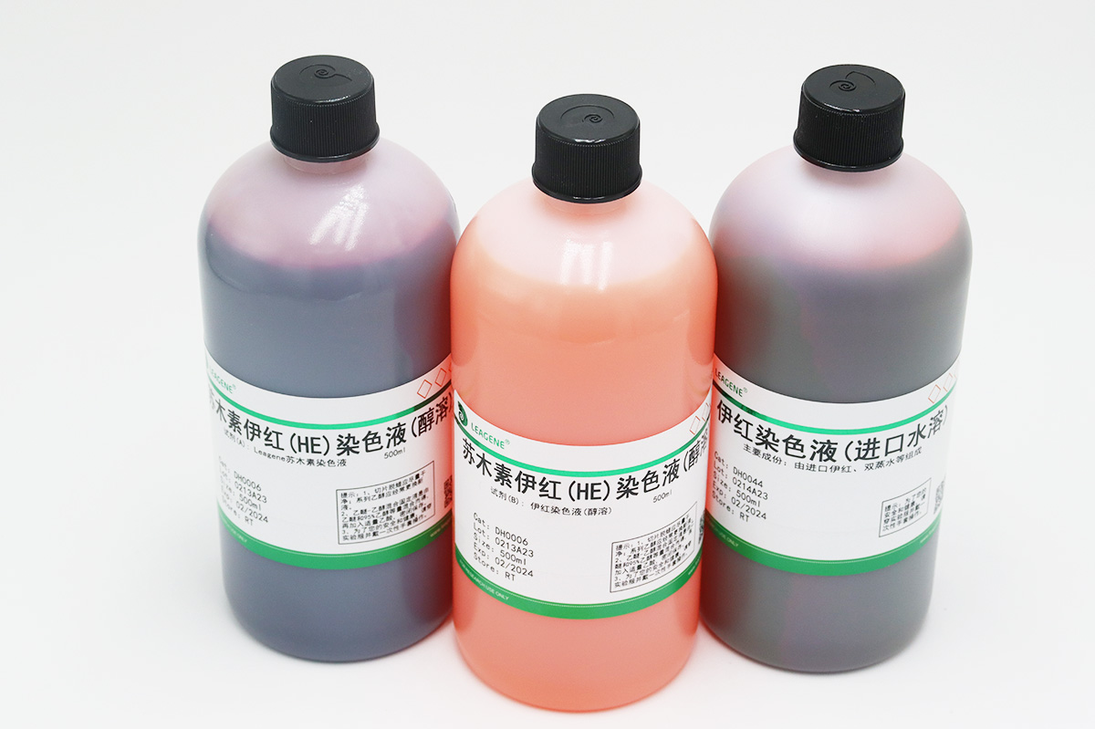 苏木素伊红(HE)染色液(水溶)
