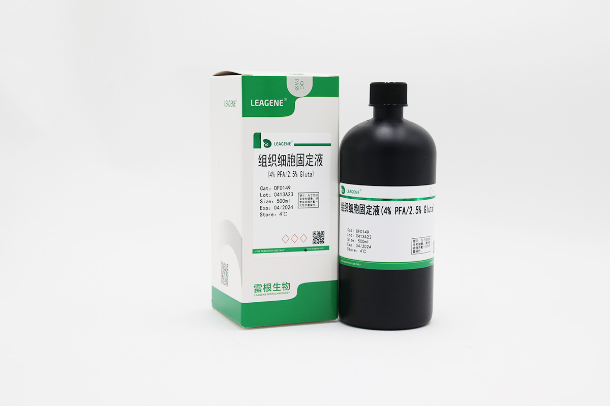 组织细胞固定液(4% PFA/2.5% Gluta)