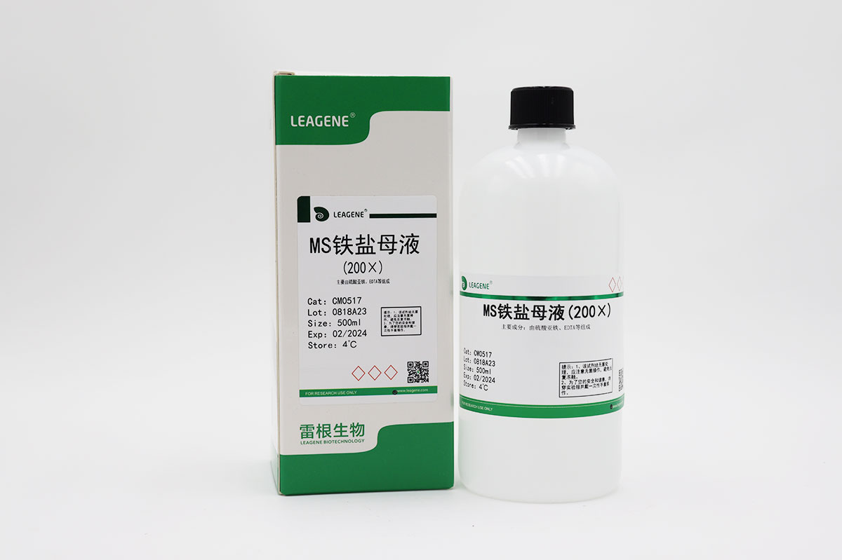 MS铁盐母液(200×)