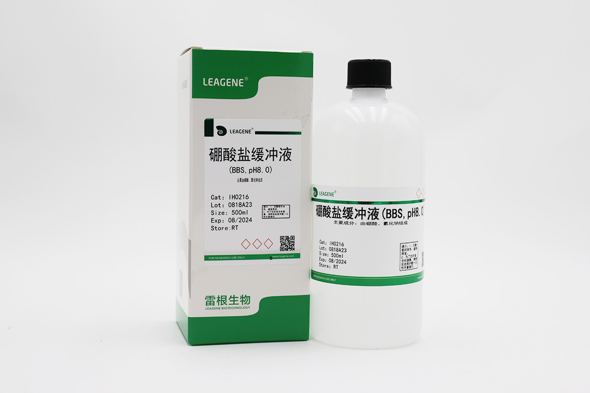 硼酸盐缓冲液(BBS,pH8.0)
