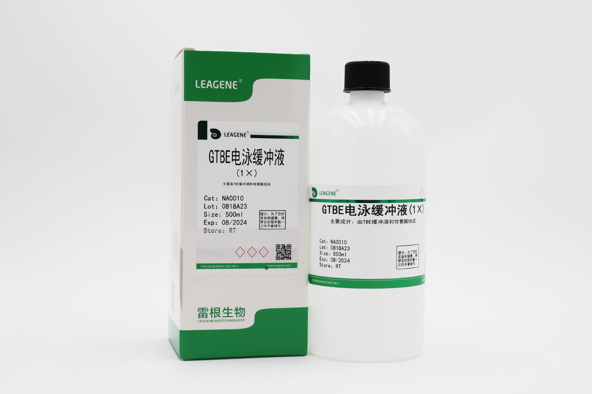 GTBE电泳缓冲液(1×)