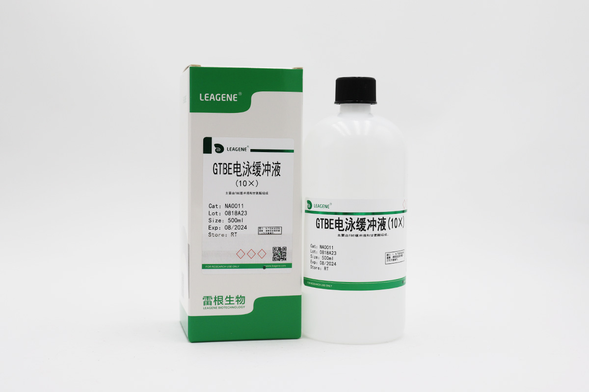 GTBE电泳缓冲液(10×)
