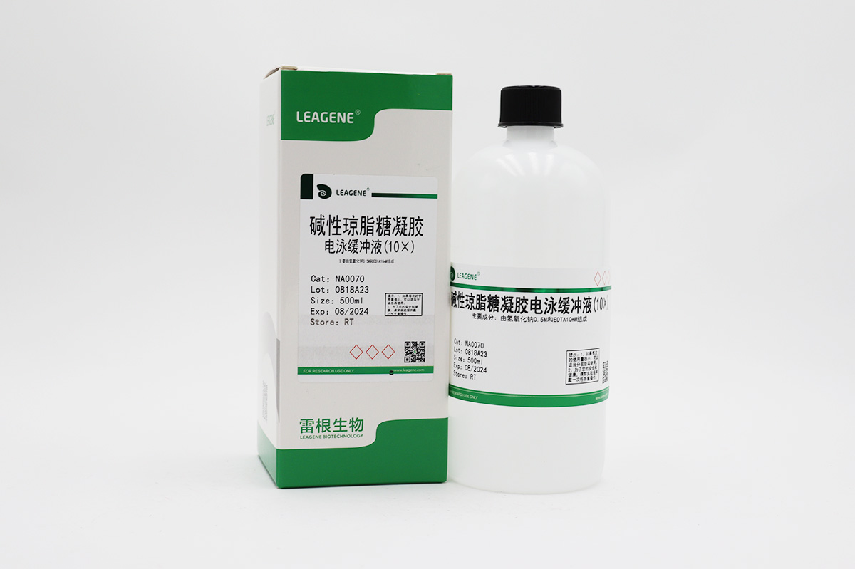 碱性琼脂糖凝胶电泳缓冲液(10×)