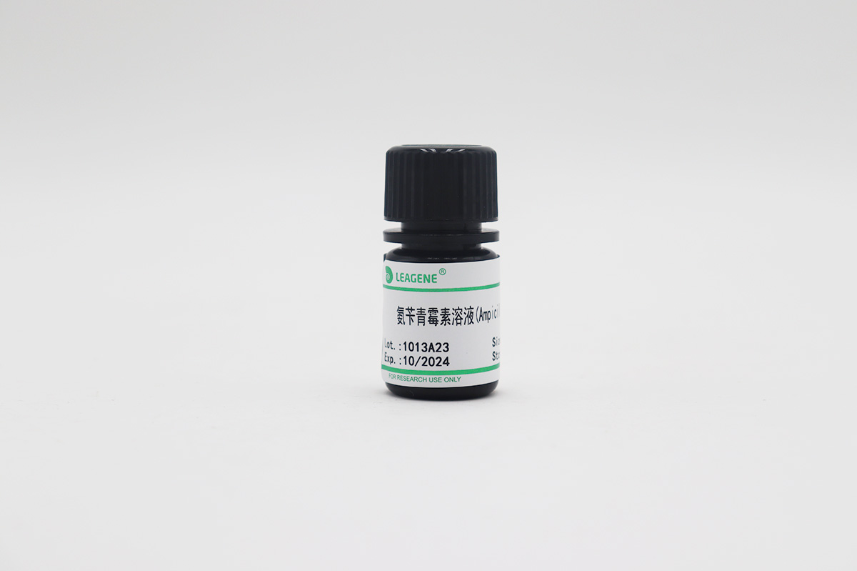 氨苄青霉素溶液(Ampicillin,50mg/ml)