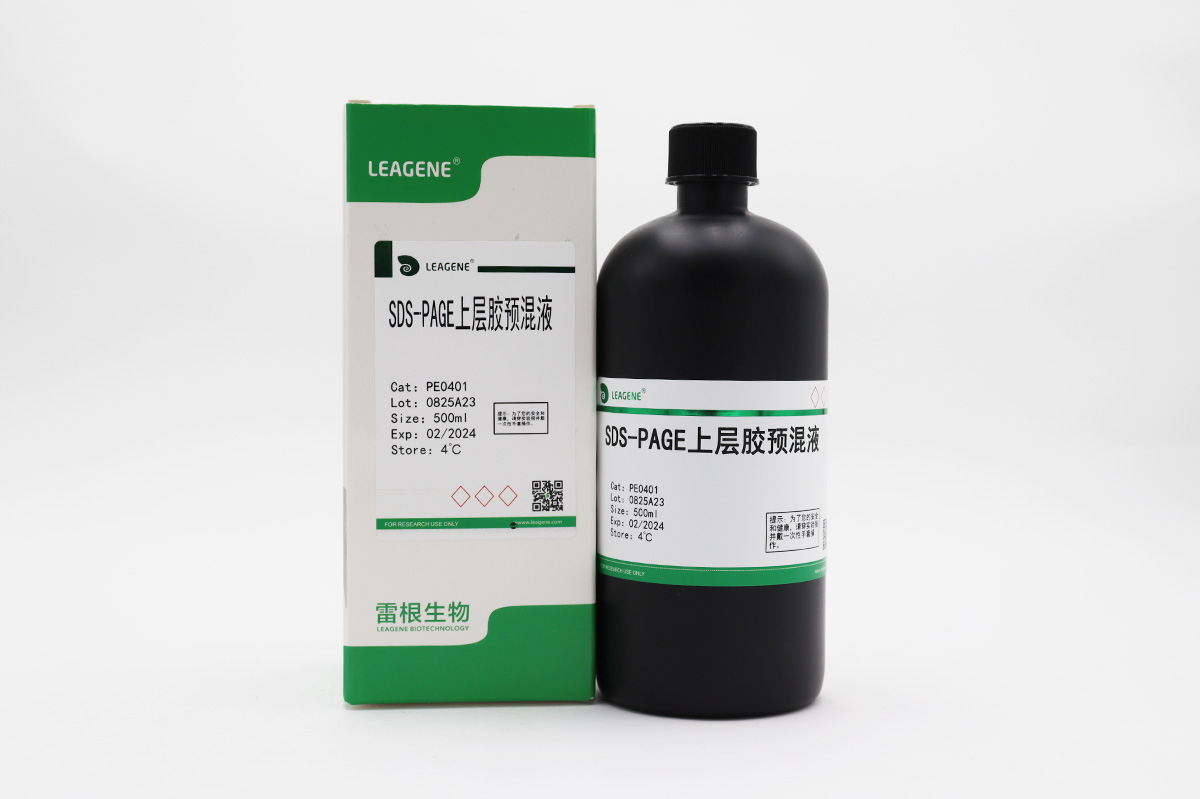 SDS-PAGE上层胶预混液
