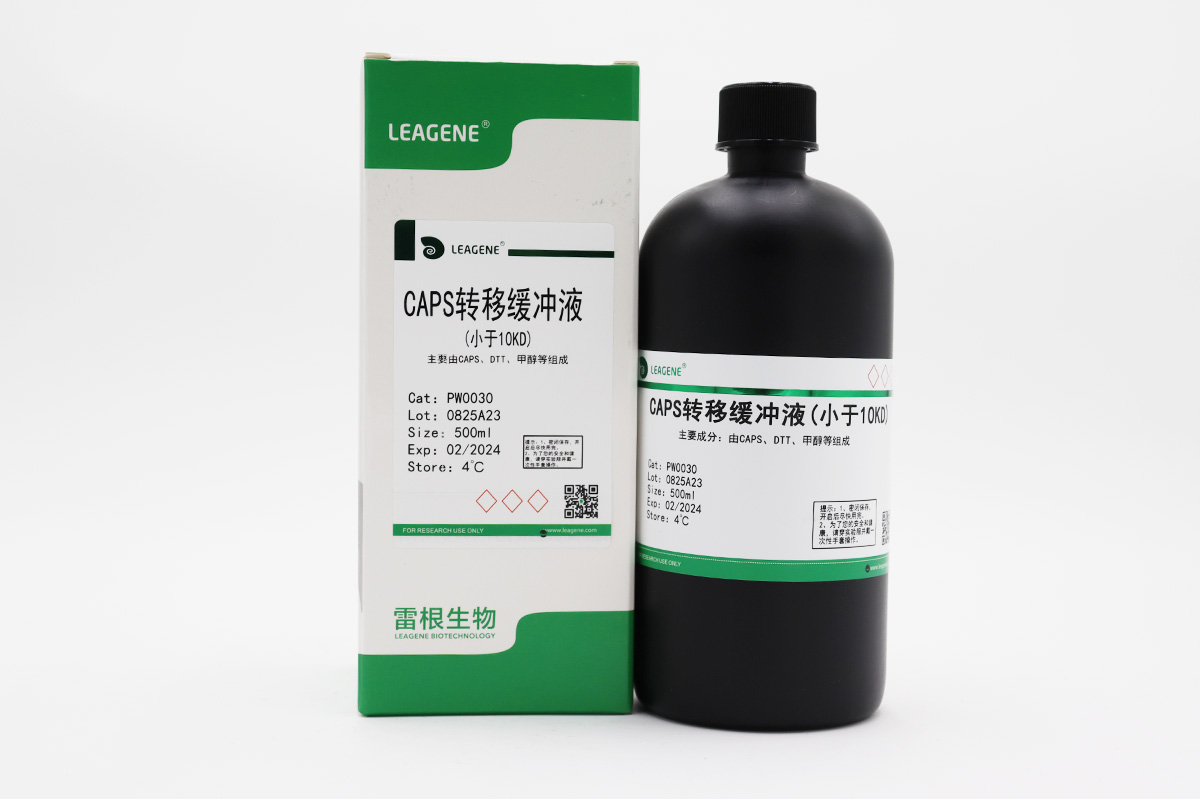 CAPS转移缓冲液(小于10KD)