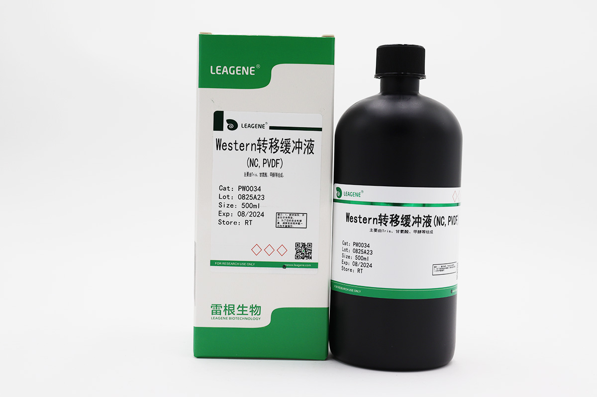 Western转移缓冲液(NC,PVDF)