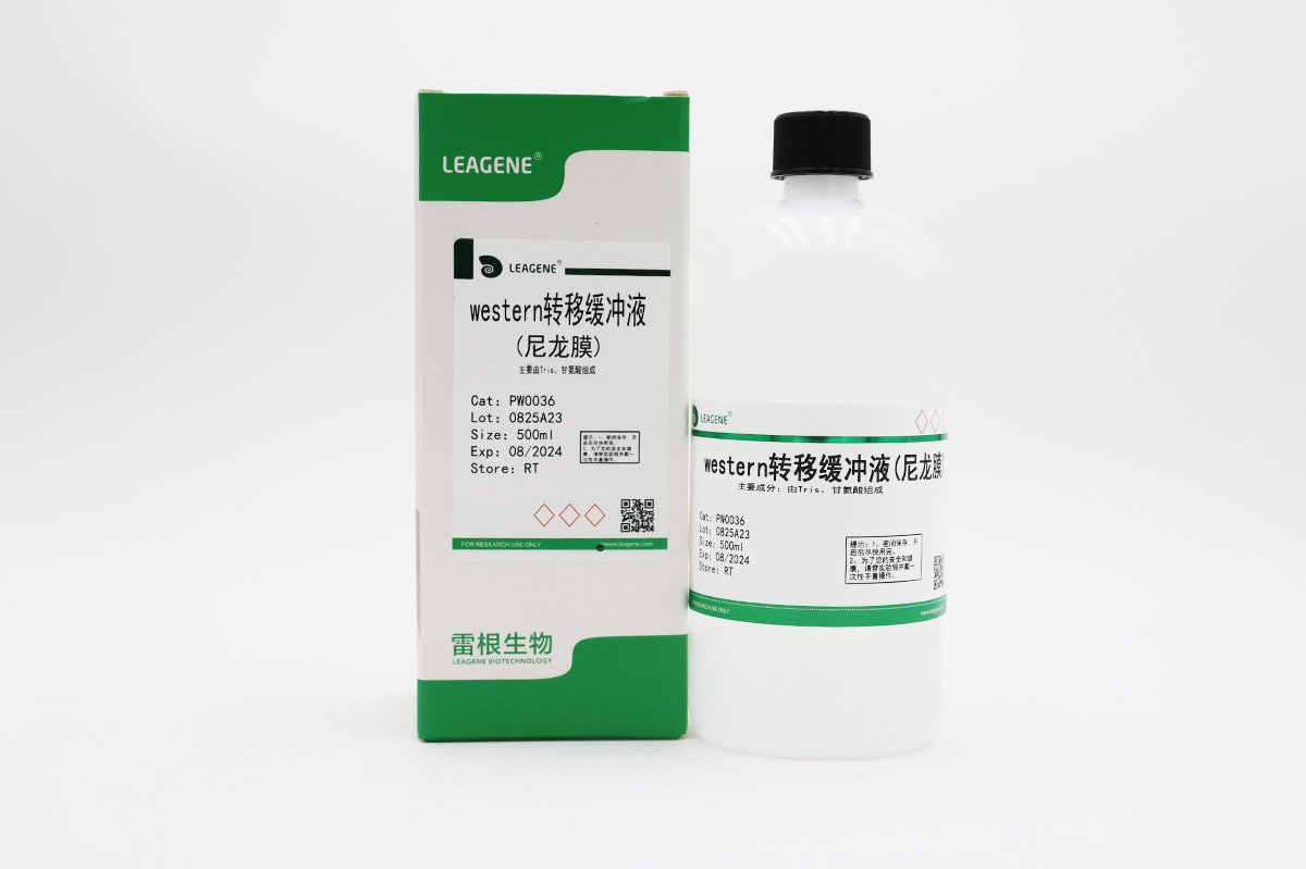 western转移缓冲液(尼龙膜)