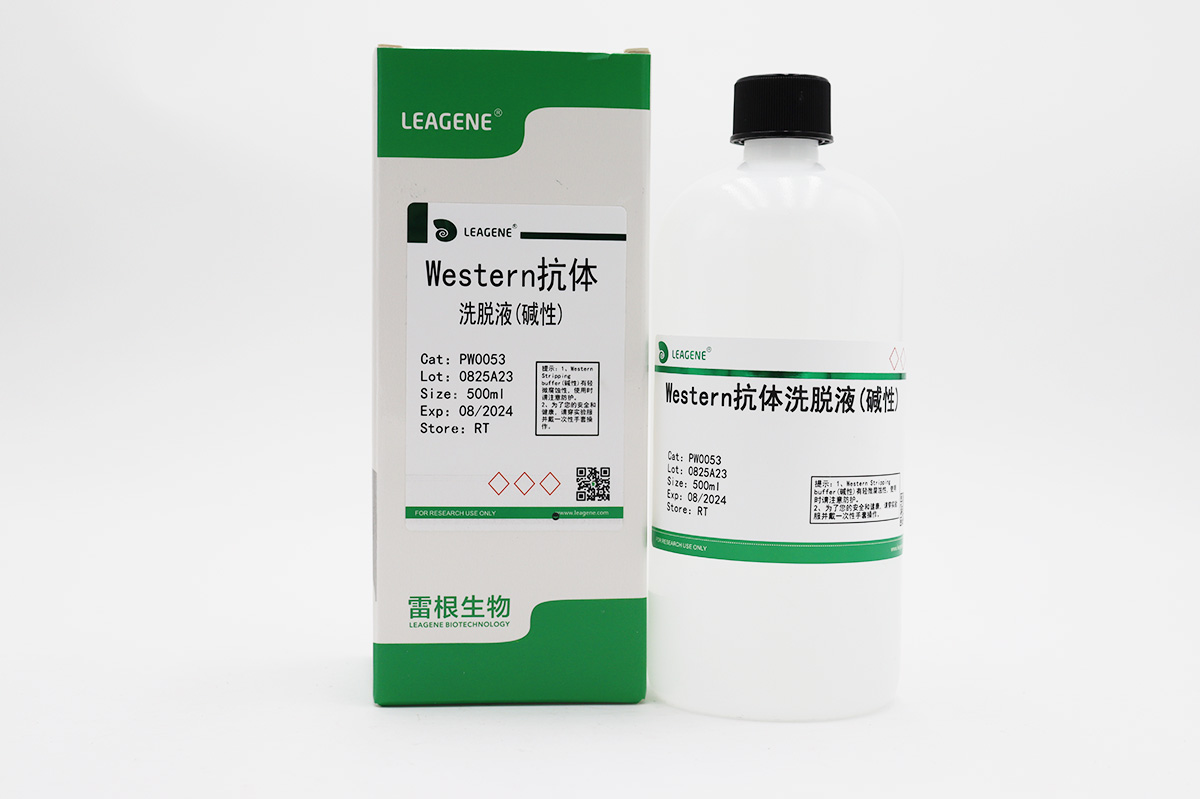 Western抗体洗脱液(碱性)