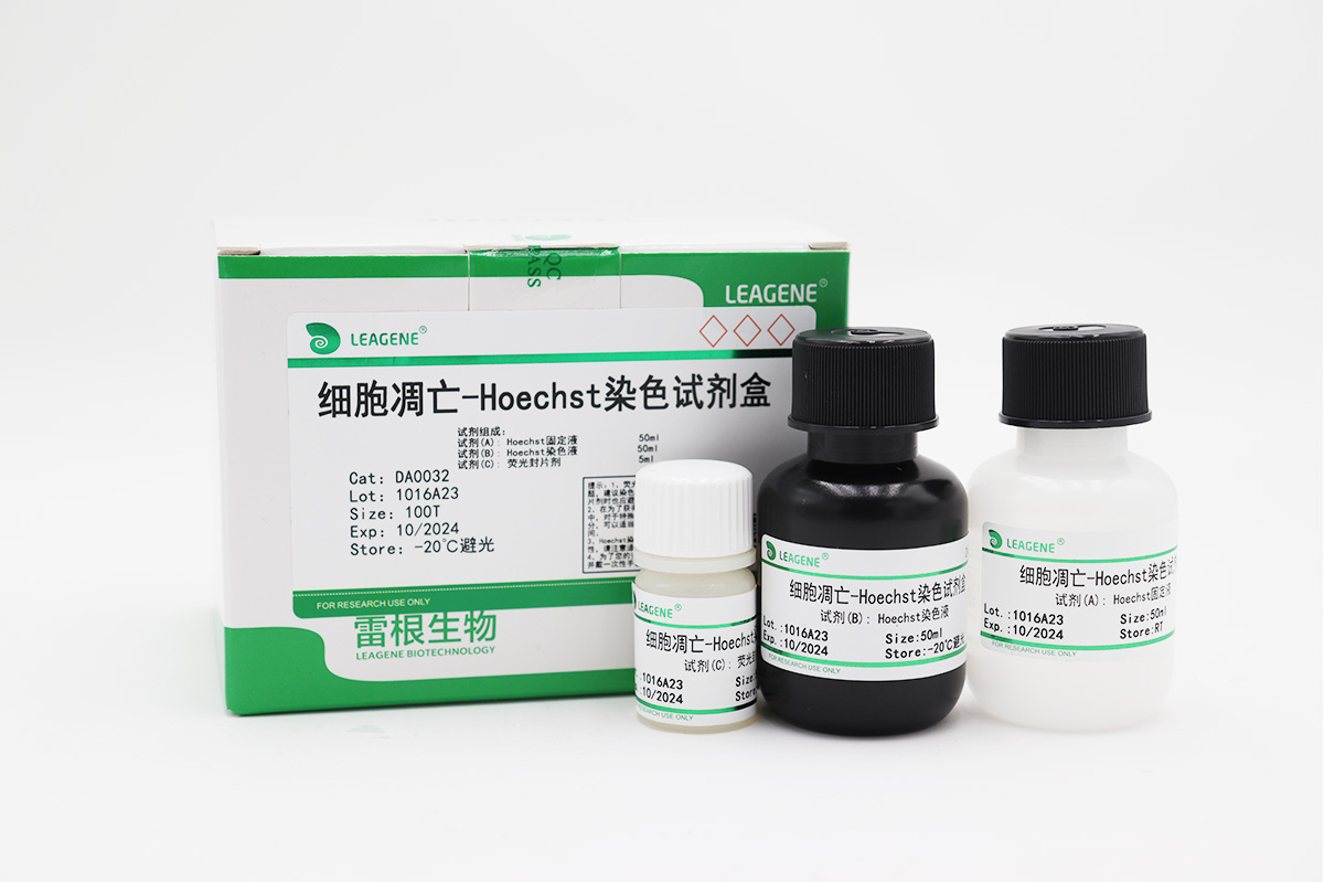 细胞凋亡-Hoechst染色试剂盒