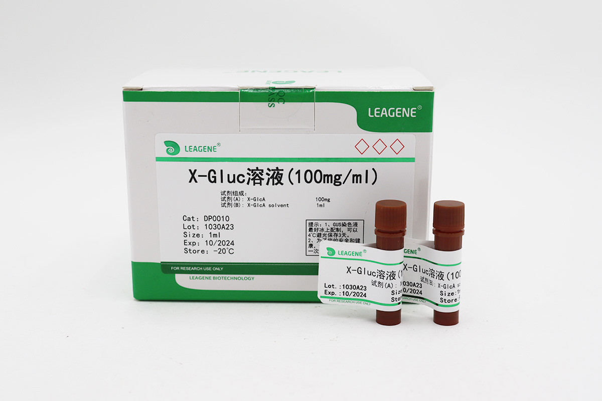 X-Gluc溶液(100mg/ml)