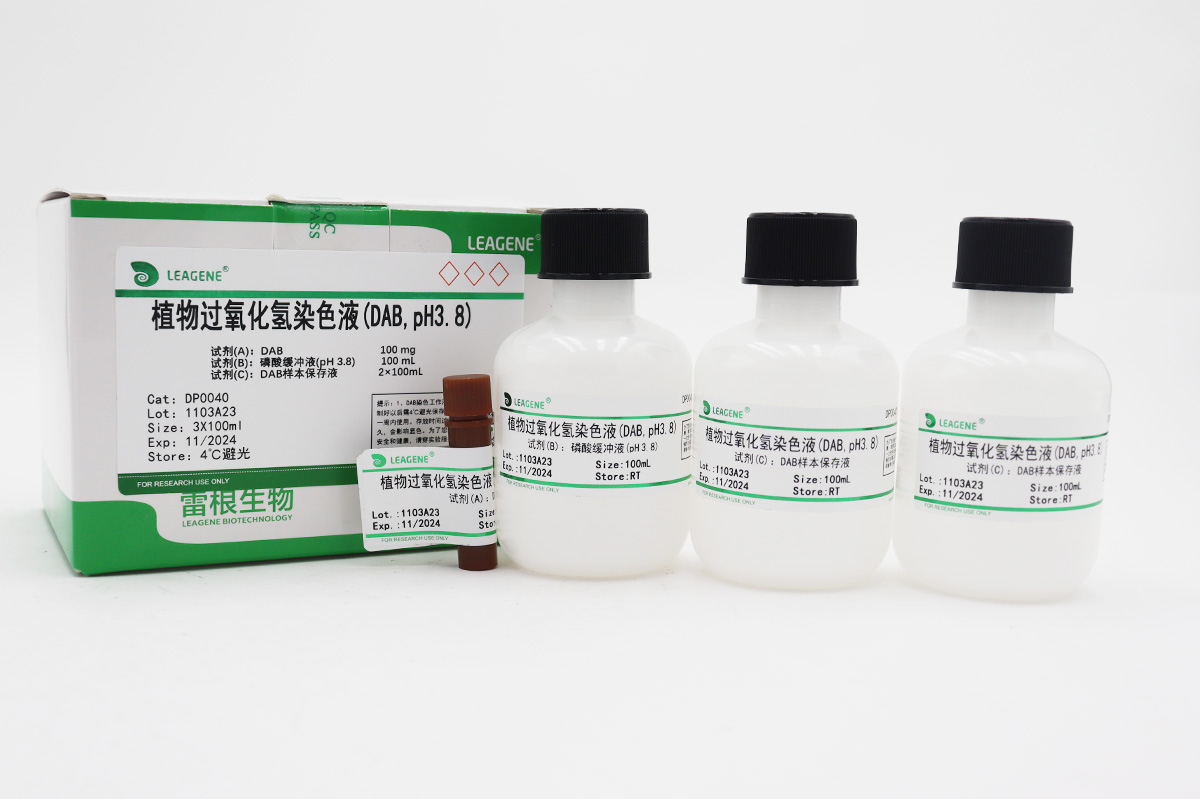 植物过氧化氢染色液(DAB,pH3.8)