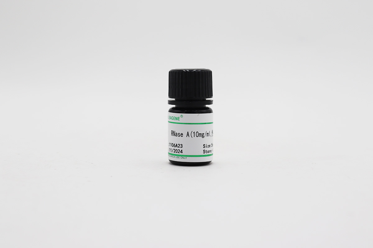 RNase A(10mg/ml,热灭活)