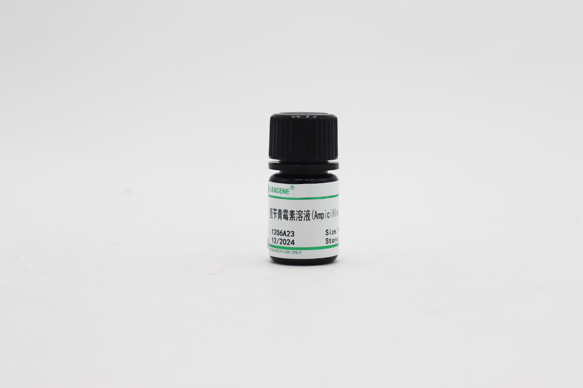 氨苄青霉素溶液(Ampicillin,100mg/ml)