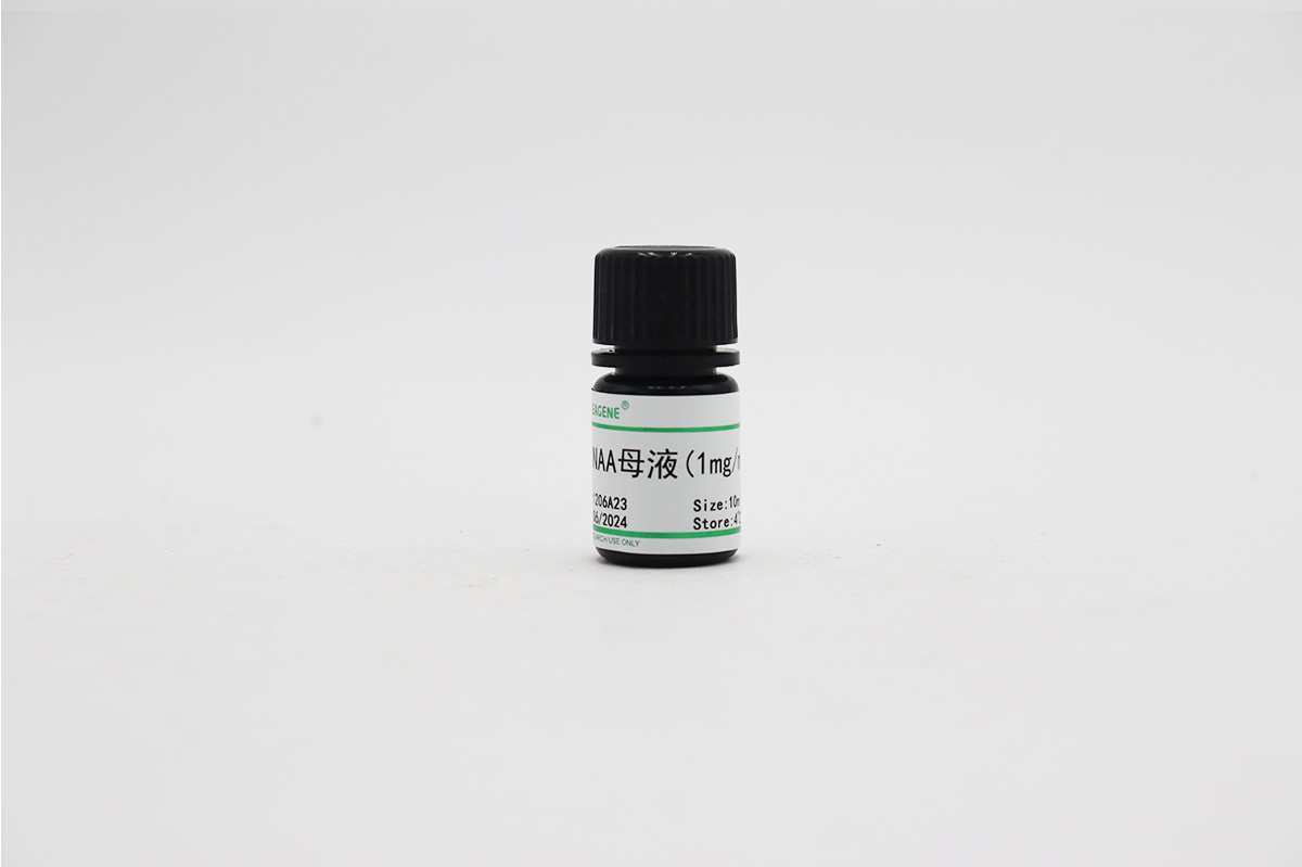 NAA母液(1mg/ml)