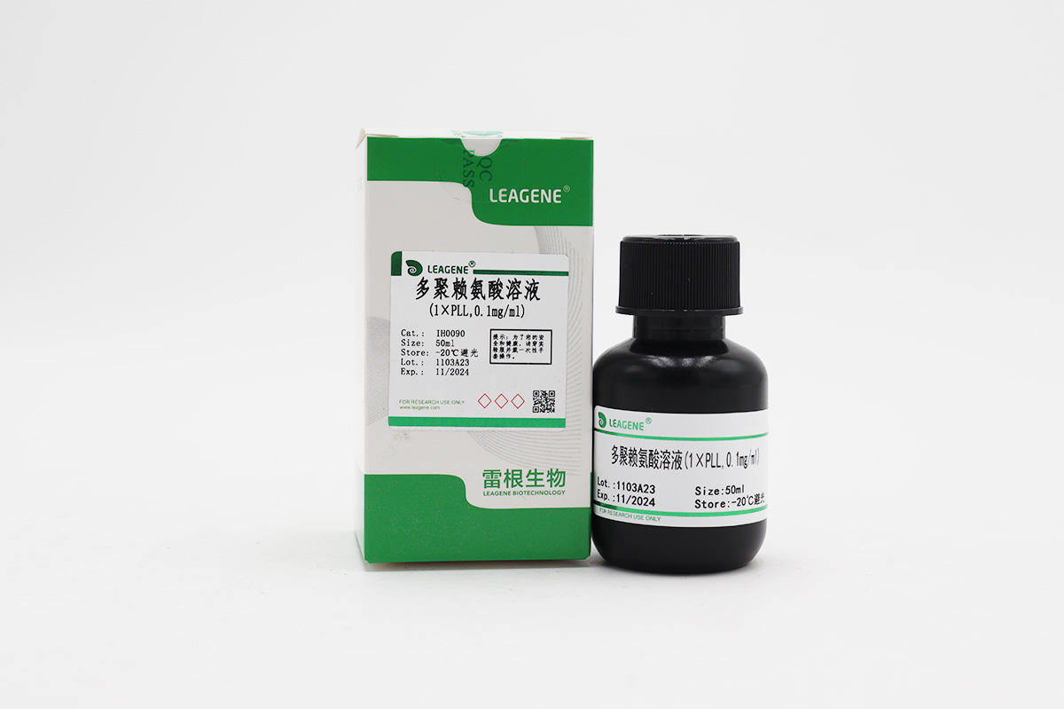 多聚赖氨酸溶液(1×PLL,0.1mg/ml)