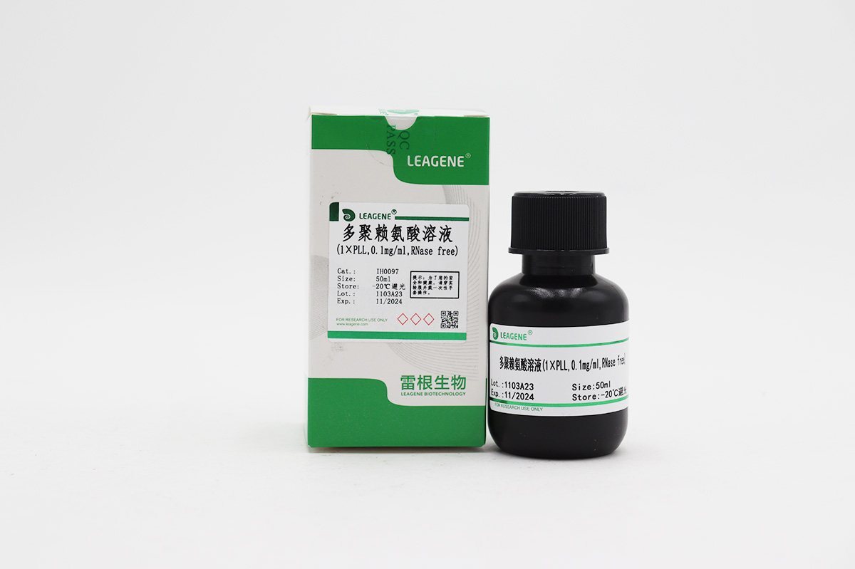 多聚赖氨酸溶液(1×PLL,0.1mg/ml,RNase free)