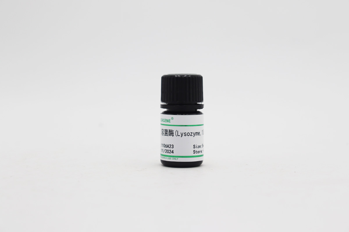 溶菌酶(Lysozyme,10mg/ml)