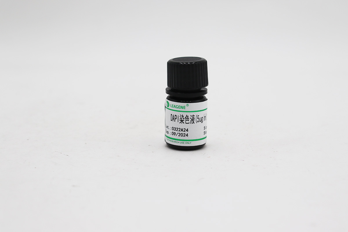 DAPI染色液(5ug/ml,含封片剂)