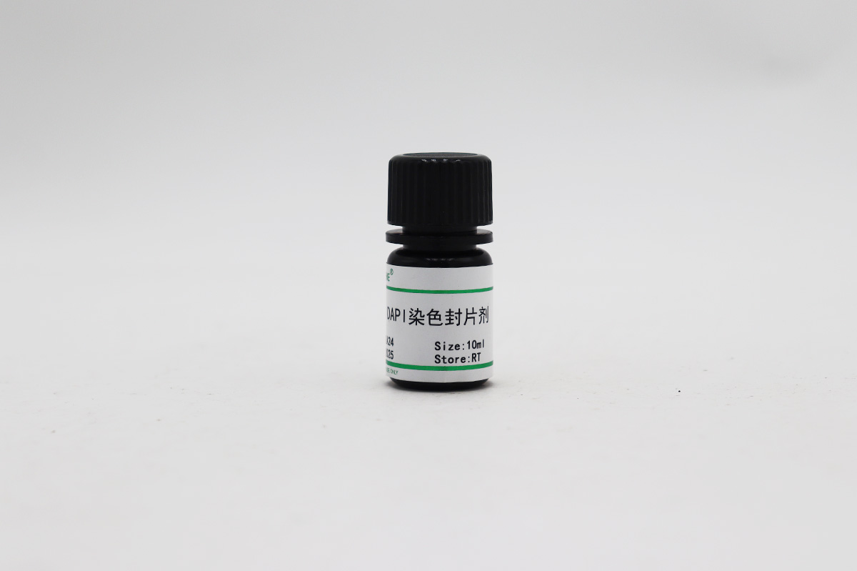 DAPI染色封片剂
