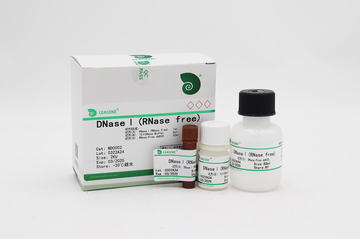 DNaseⅠ(RNase free)