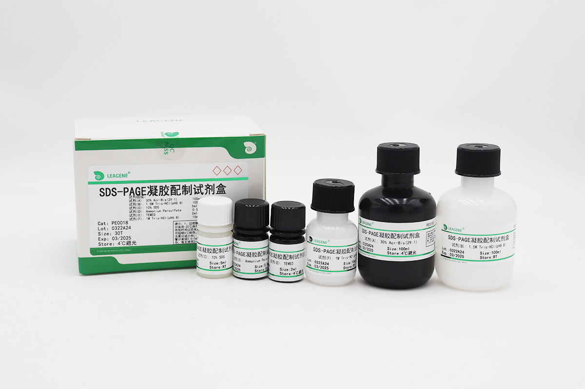 SDS-PAGE凝胶配制试剂盒