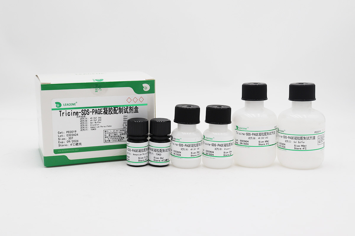 Tricine-SDS-PAGE凝胶配制试剂盒