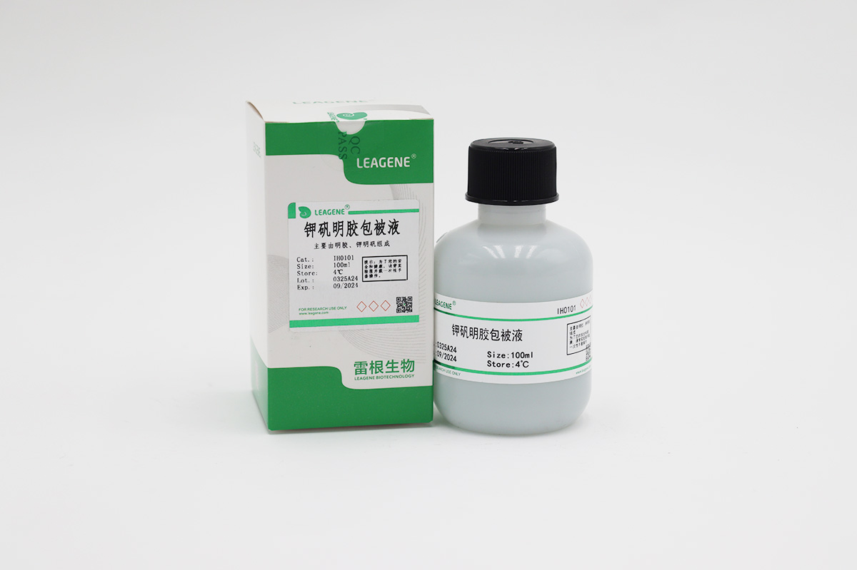 钾矾明胶包被液