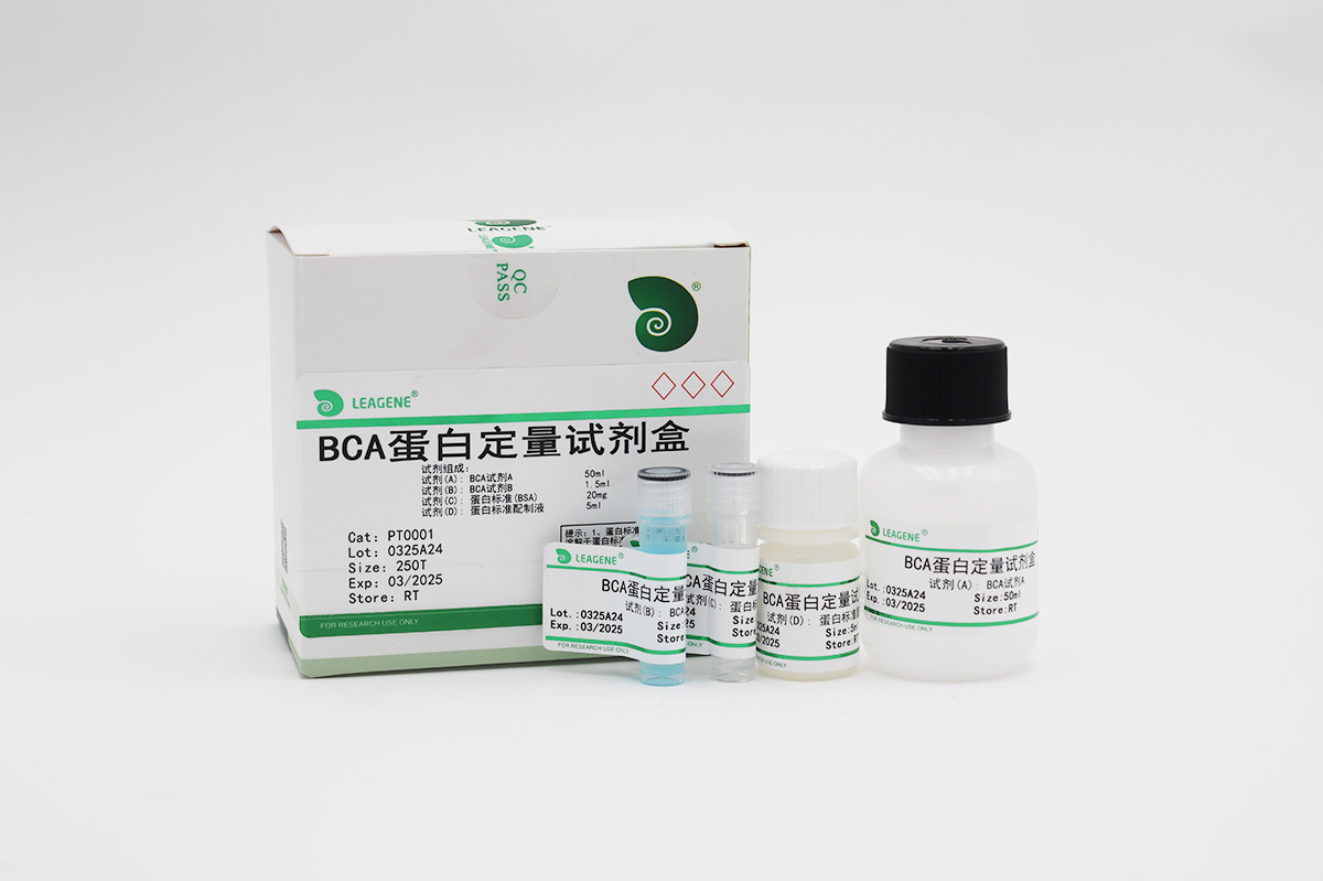 BCA蛋白定量试剂盒