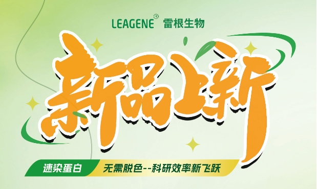 最新力作【考马斯亮蓝快速染色液（免脱色版）】，正式加入我们的产品家族！