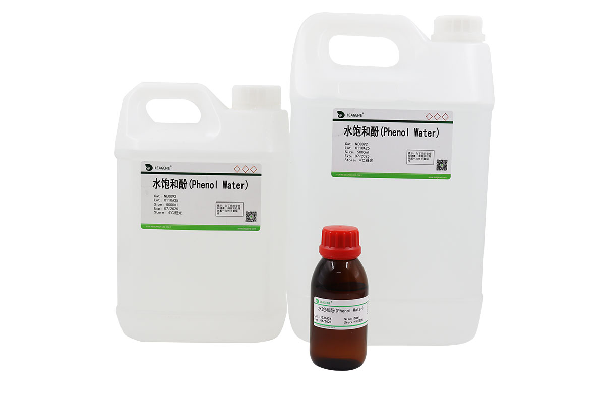 水饱和酚(Phenol Water)